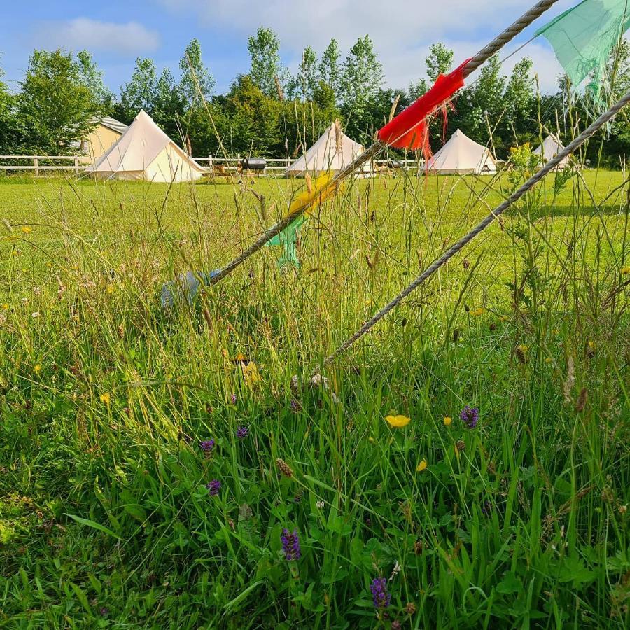 Bell Tent Glamping At Marwell Resort Winchester Exteriör bild
