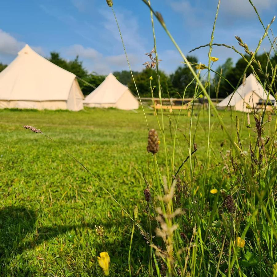 Bell Tent Glamping At Marwell Resort Winchester Exteriör bild
